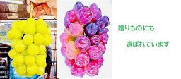 ぶどう２種類